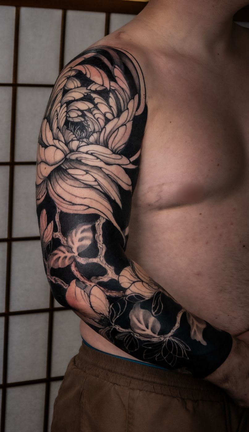 菊 腕